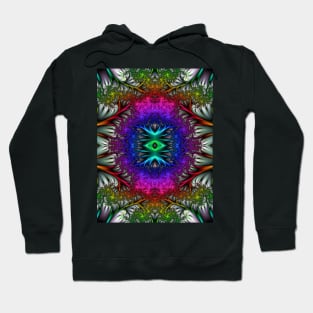 Pineal Palace, Psychedelic Fractal Pattern Hoodie